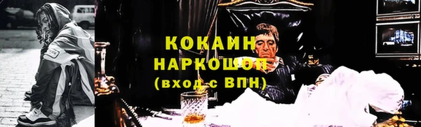 амф Горняк