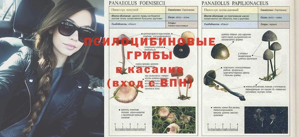 МДМА Пересвет