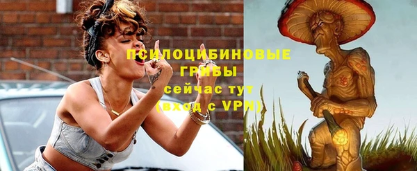 дурь Переславль-Залесский