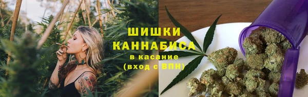 прущие крисы Сясьстрой