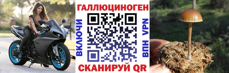Галлюциногенные грибы GOLDEN TEACHER  Камбарка 